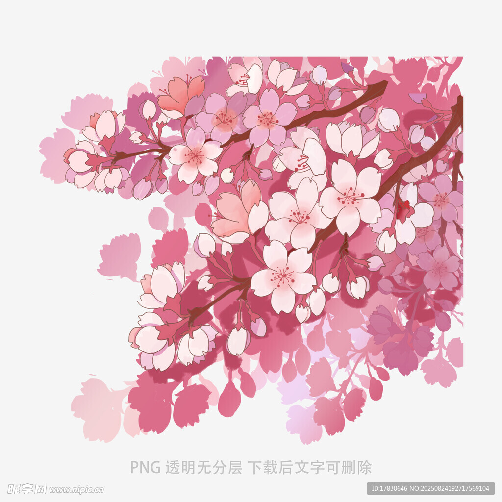 粉色烂漫樱花枝