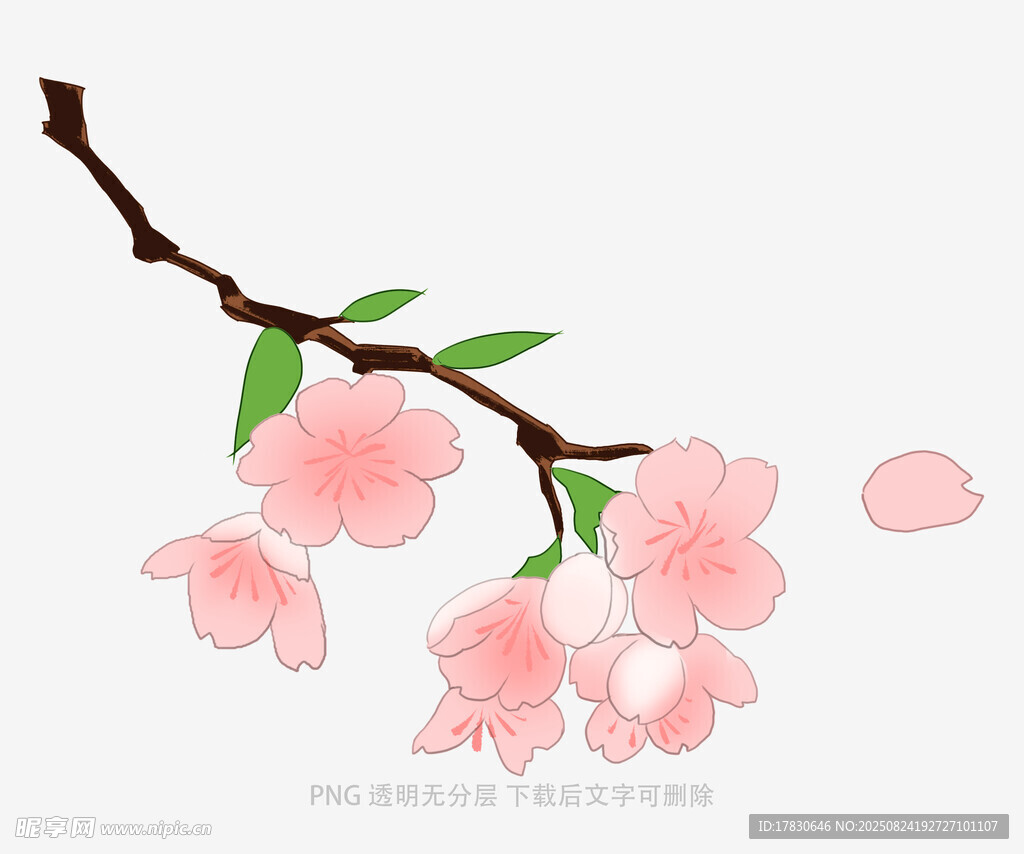 粉色桃花枝