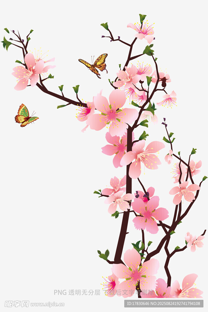 粉色桃花枝上双蝶飞舞