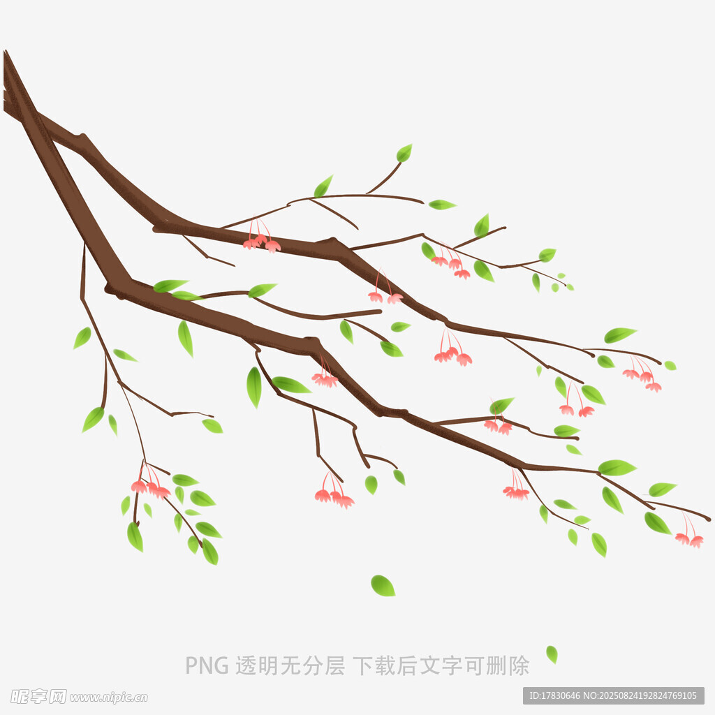 春日桃花枝