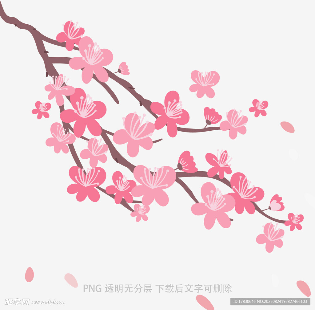 花朵