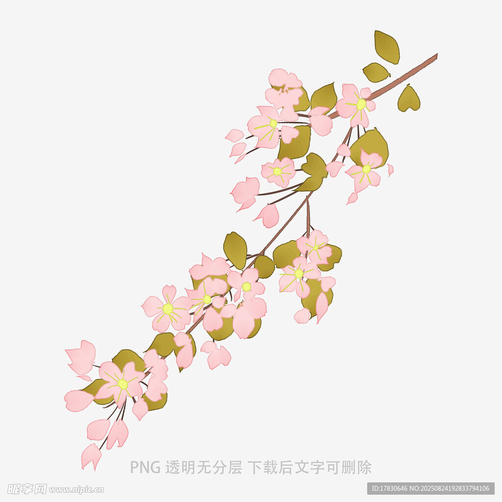 粉色花枝插画