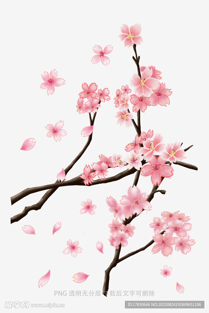 花朵