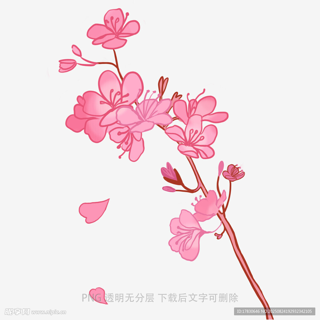 花朵