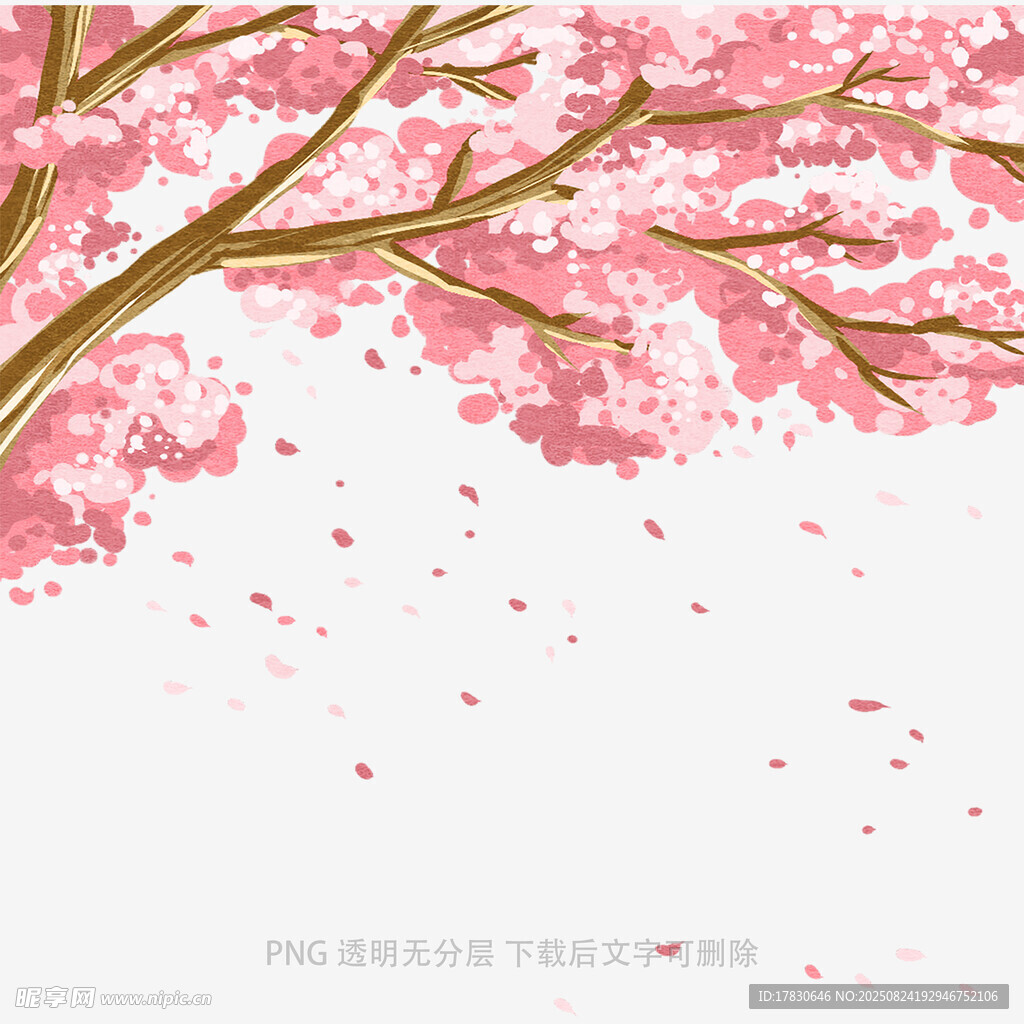 浪漫樱花飘落场景