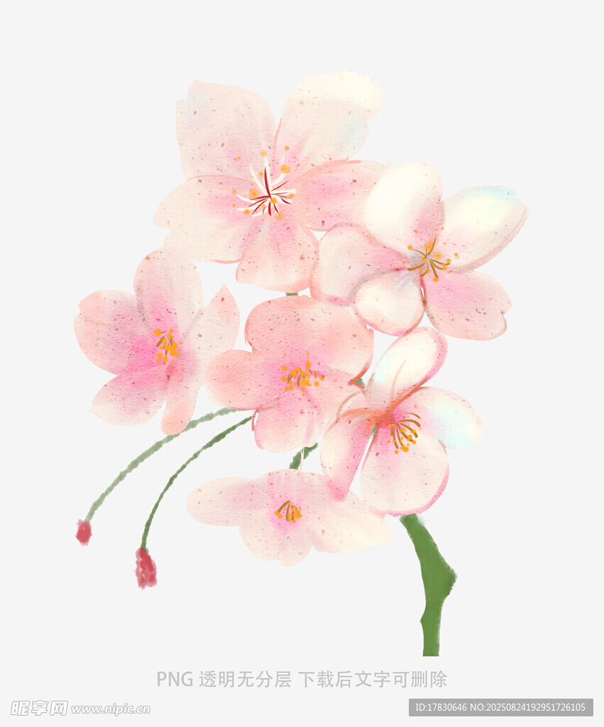 花朵