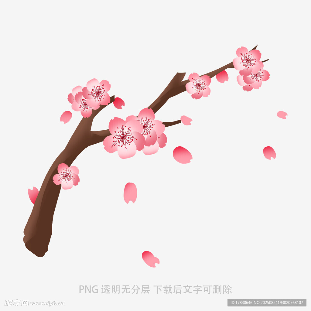 粉色绽放的唯美桃花枝
