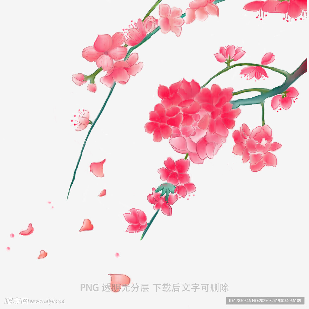 花朵