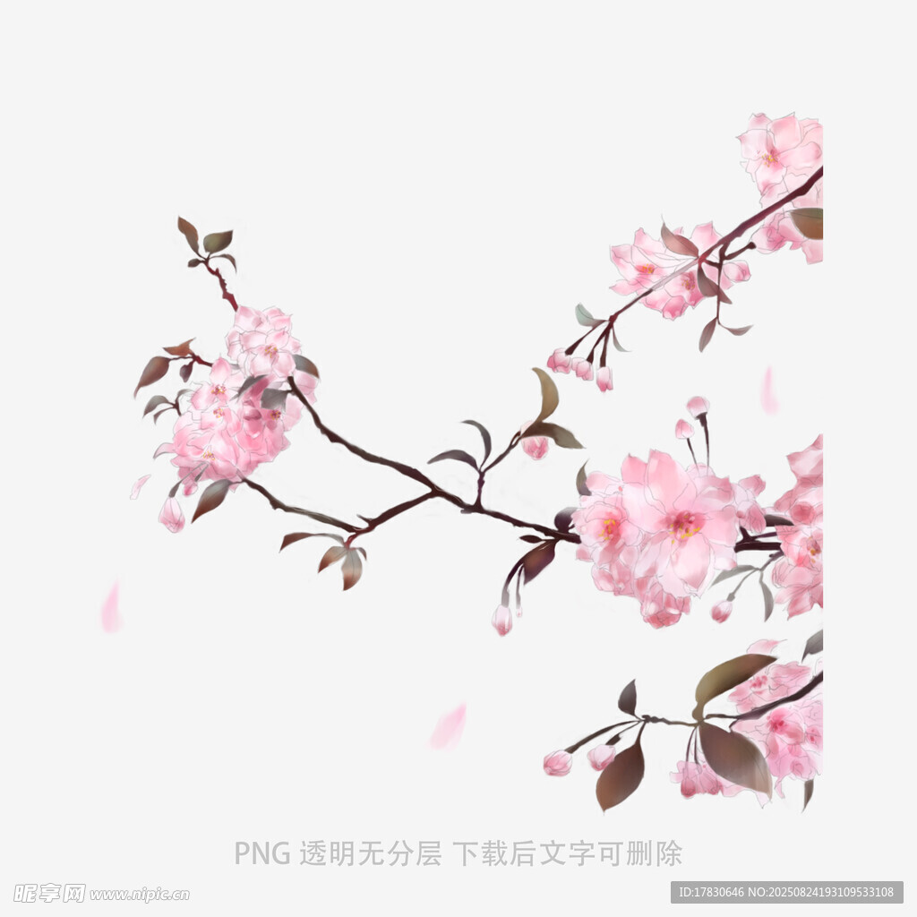花朵