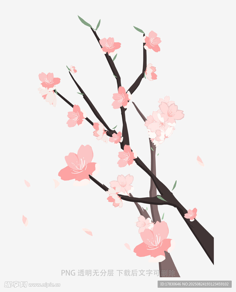 花朵