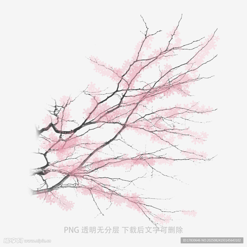 粉色桃花枝