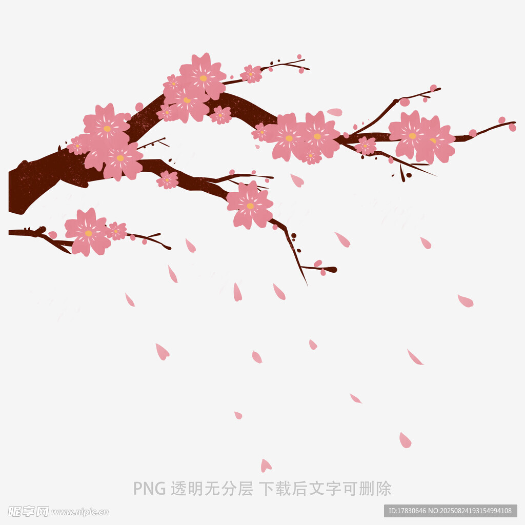 花朵