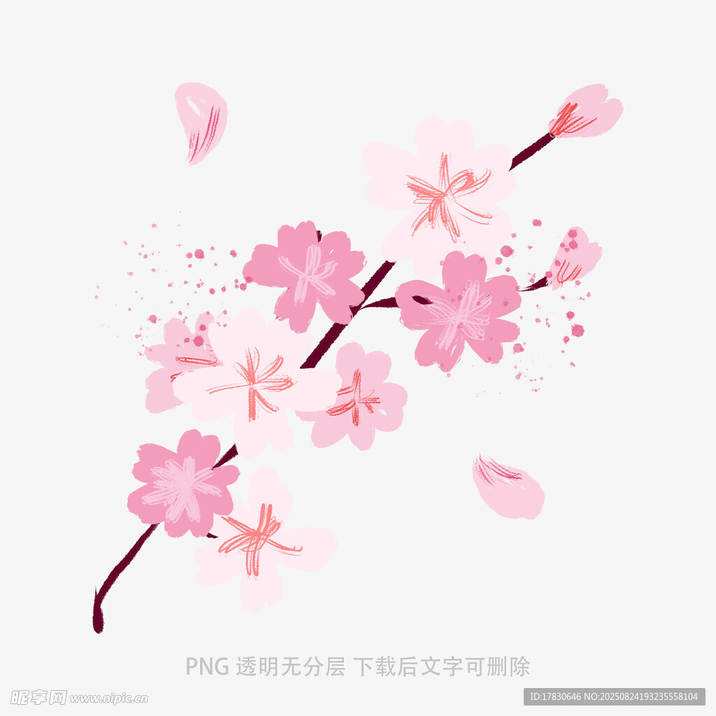 花朵
