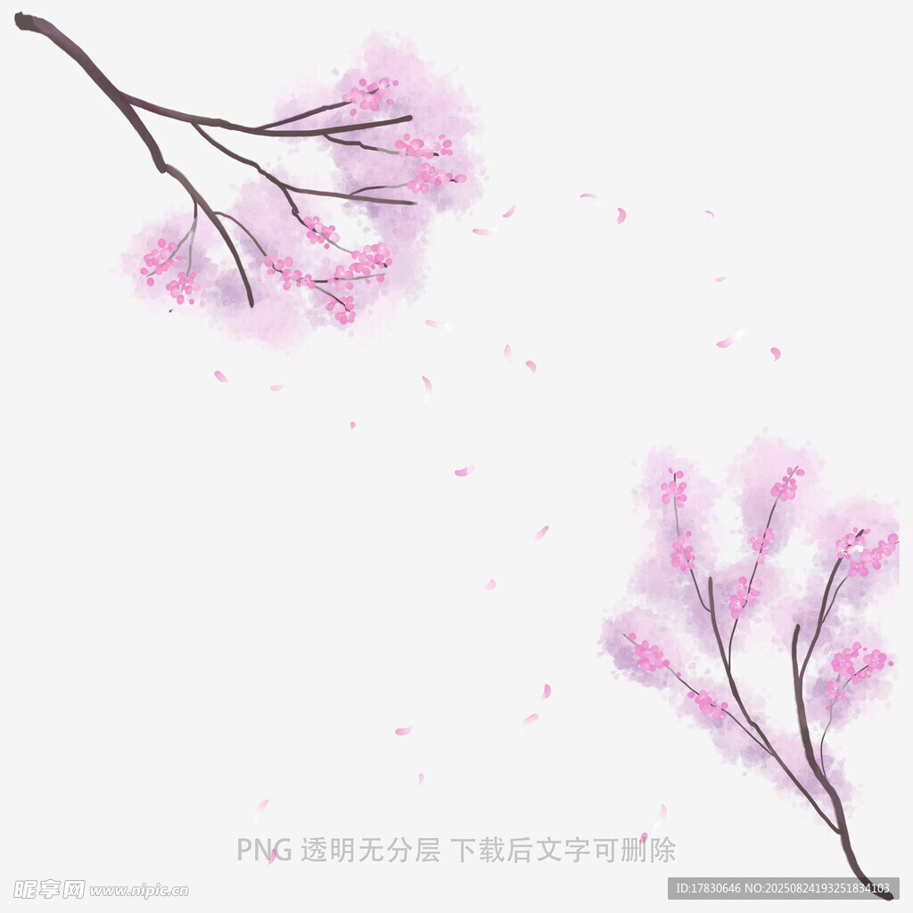花朵