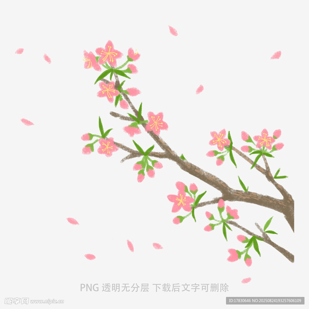 花朵