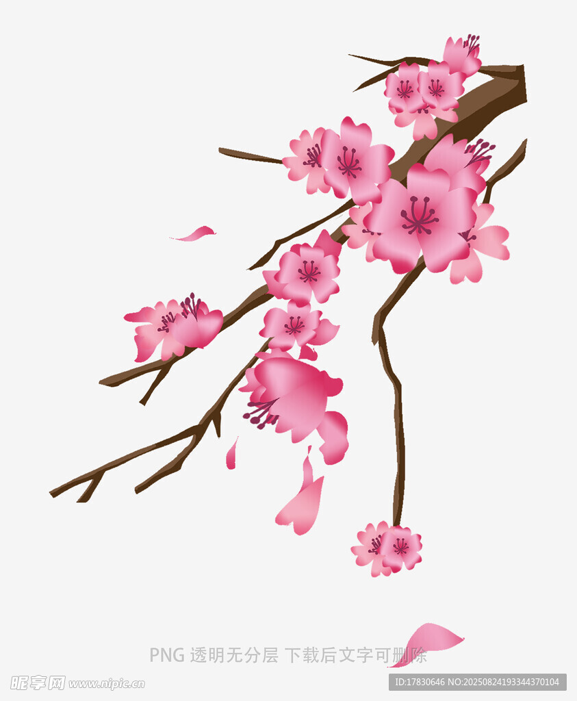 花朵