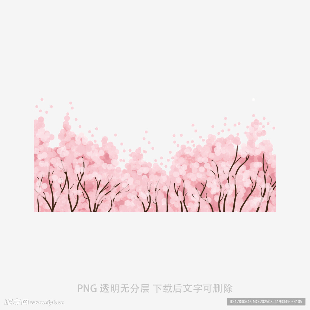 粉色烂漫樱花树背景图