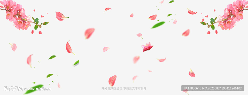 浪漫粉色花瓣飘落背景图