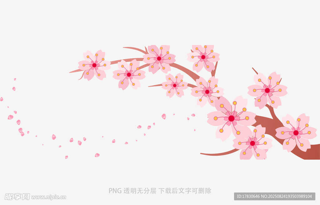 花朵