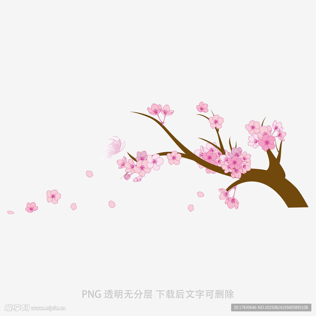 花朵