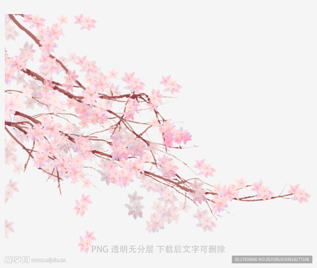 花朵