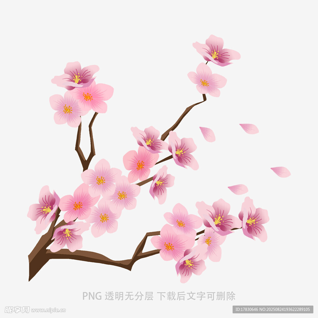 粉色烂漫桃花枝