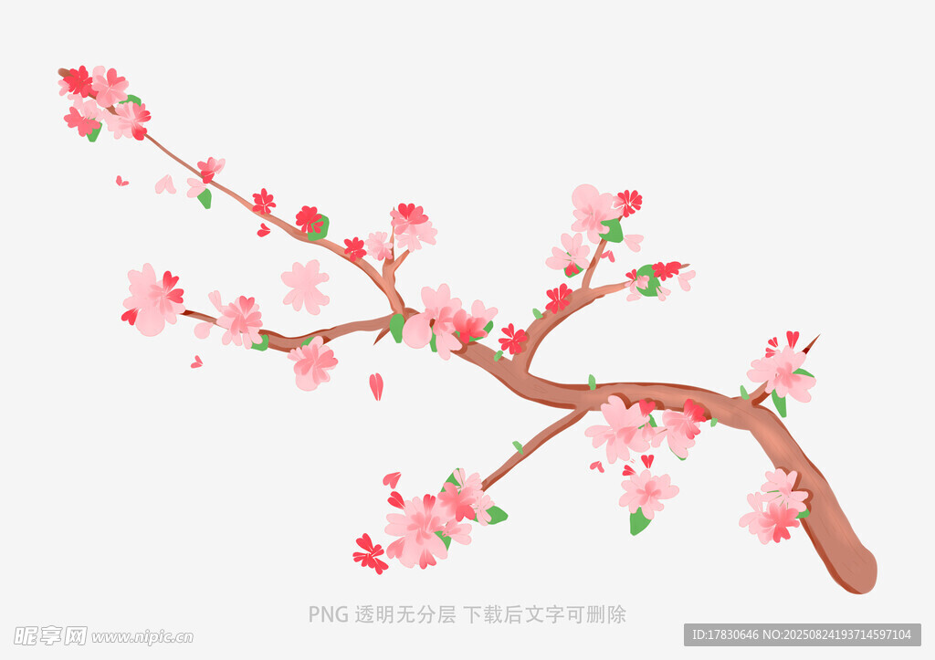 粉色桃花枝插画