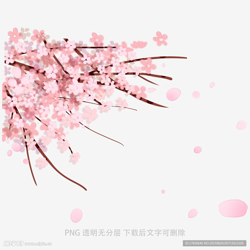 花朵