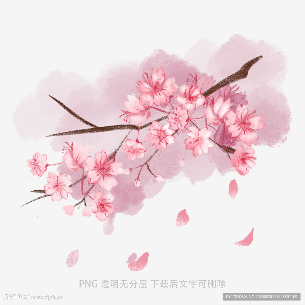 花朵