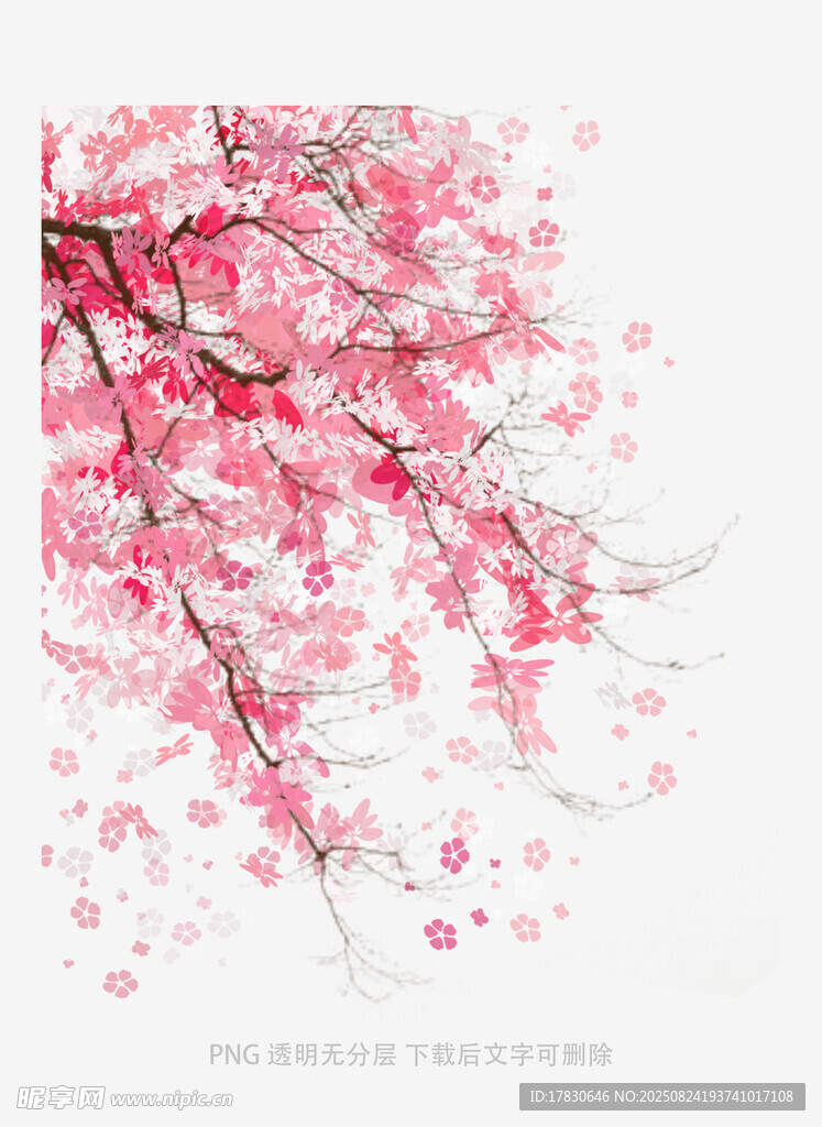 唯美粉色樱花飘落景象