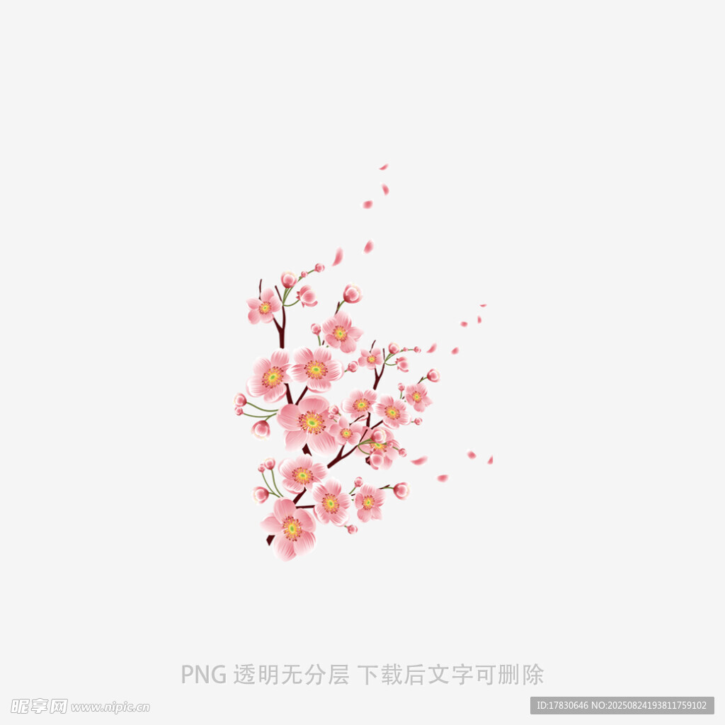 手绘粉色花枝插画