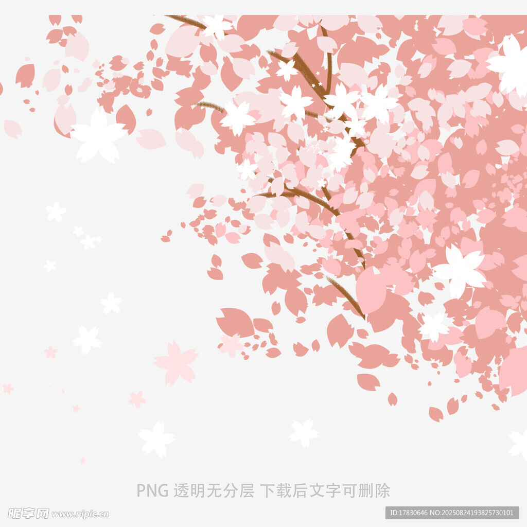 浪漫粉色樱花飘落美景