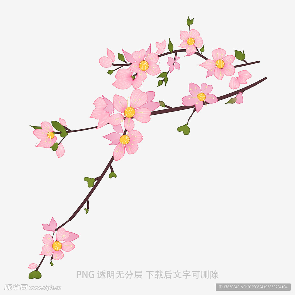 粉色桃花枝
