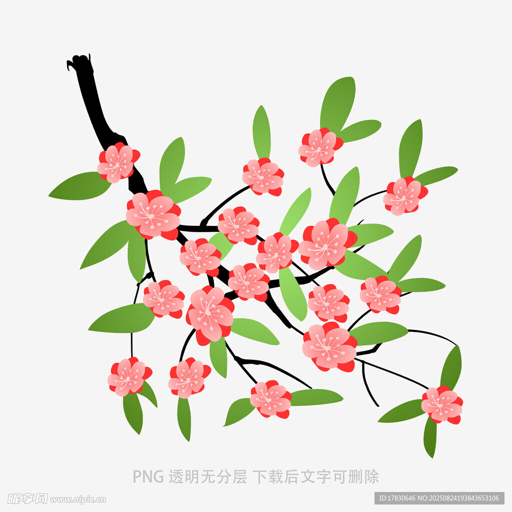 粉色花枝插画