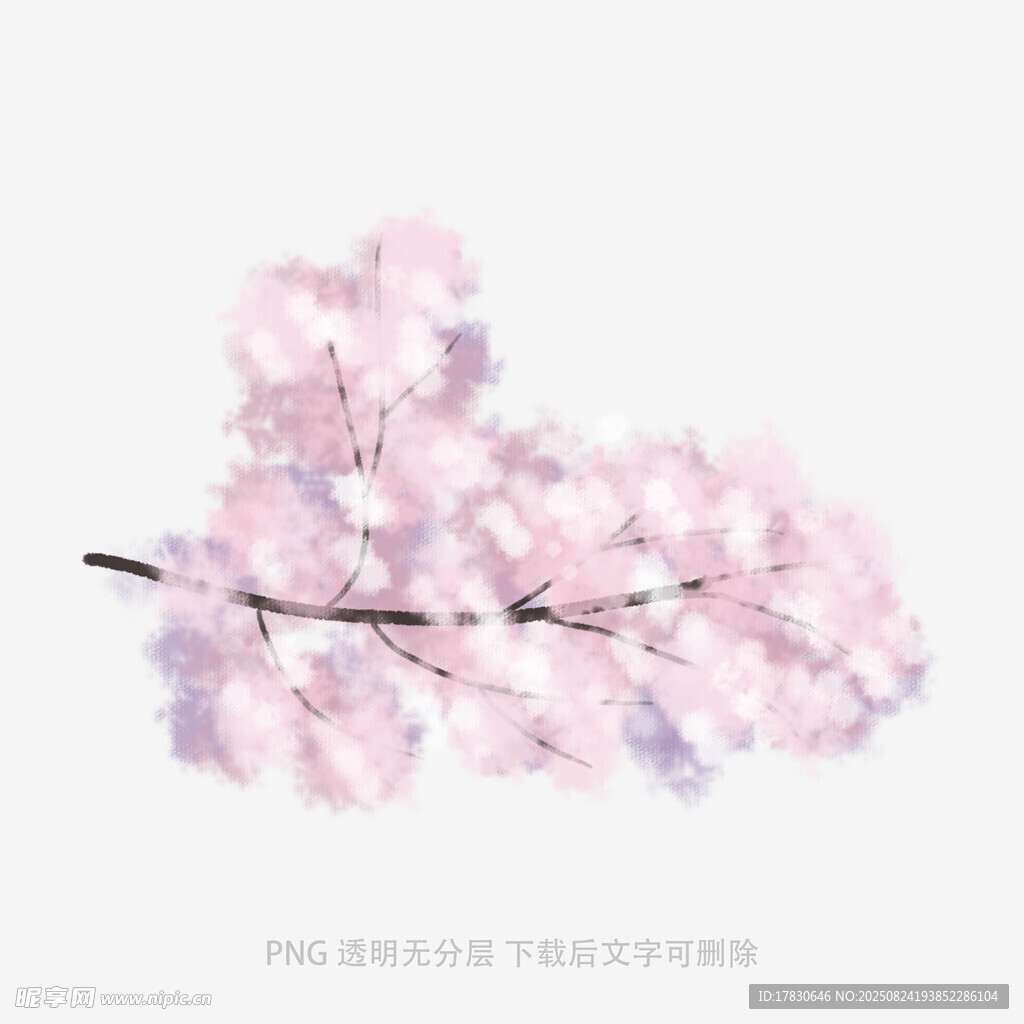 粉色烂漫樱花枝