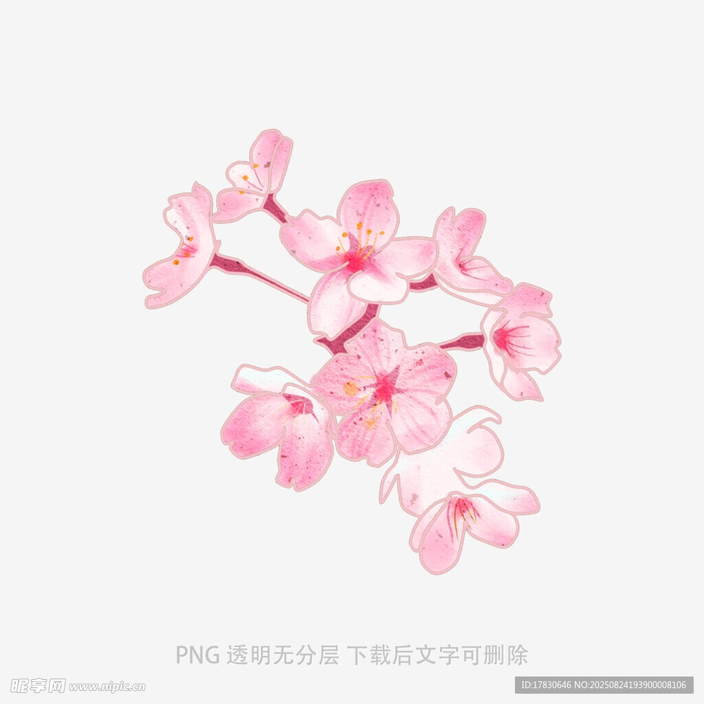 粉色烂漫樱花枝