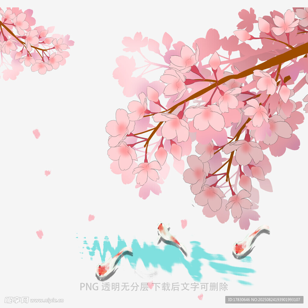 浪漫樱花下的灵动景致