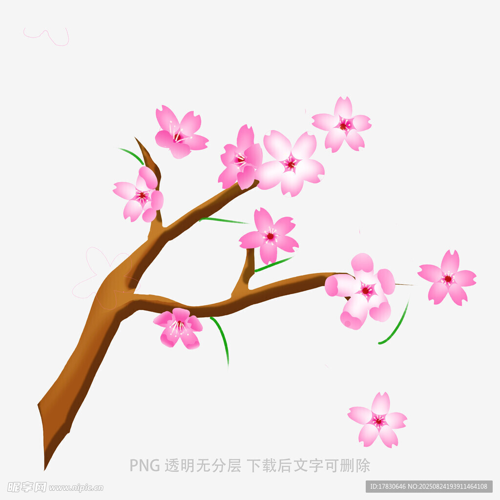 粉色桃花枝插画
