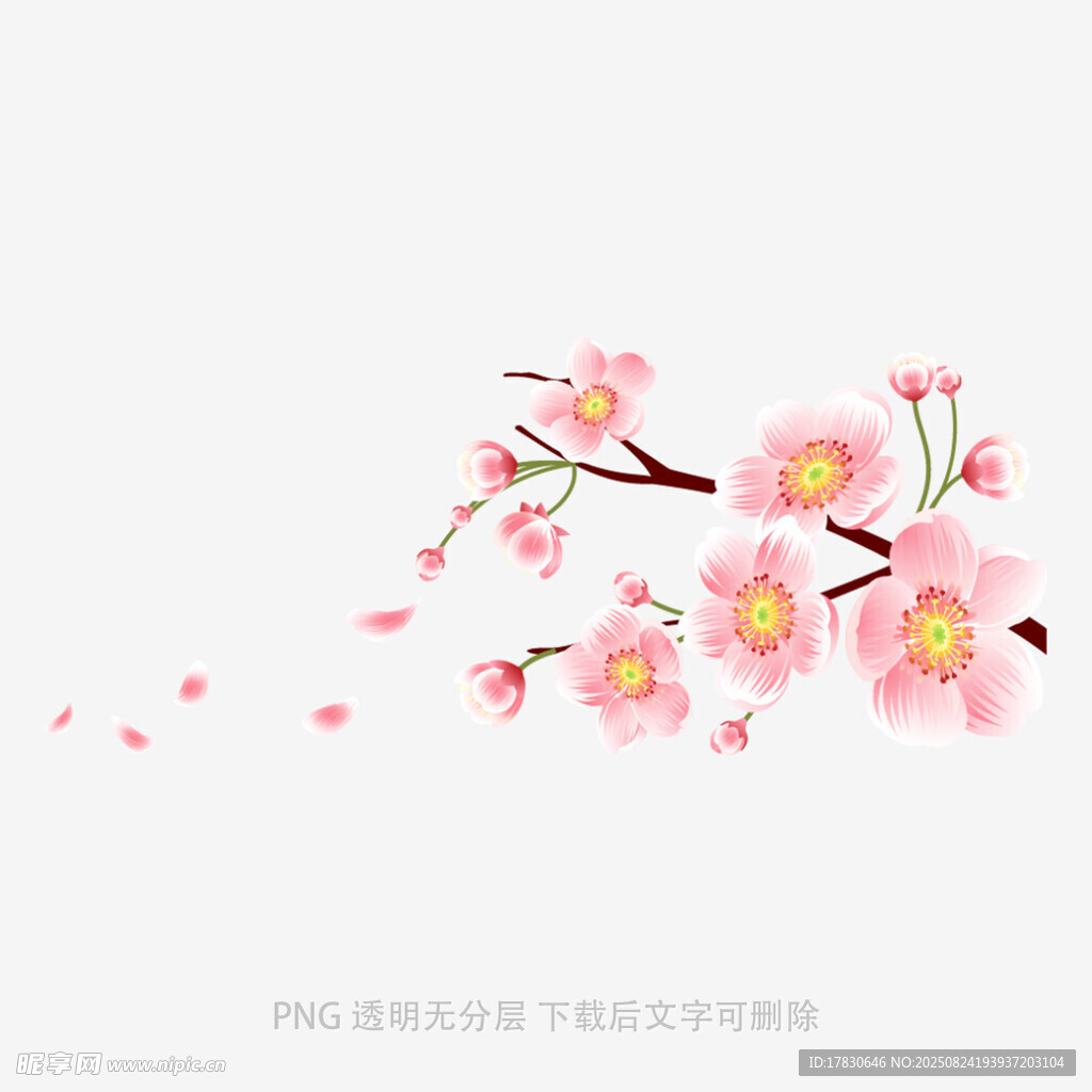 花朵