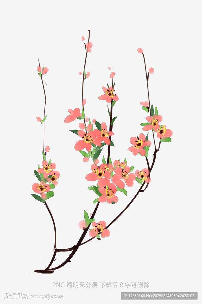 手绘桃花枝
