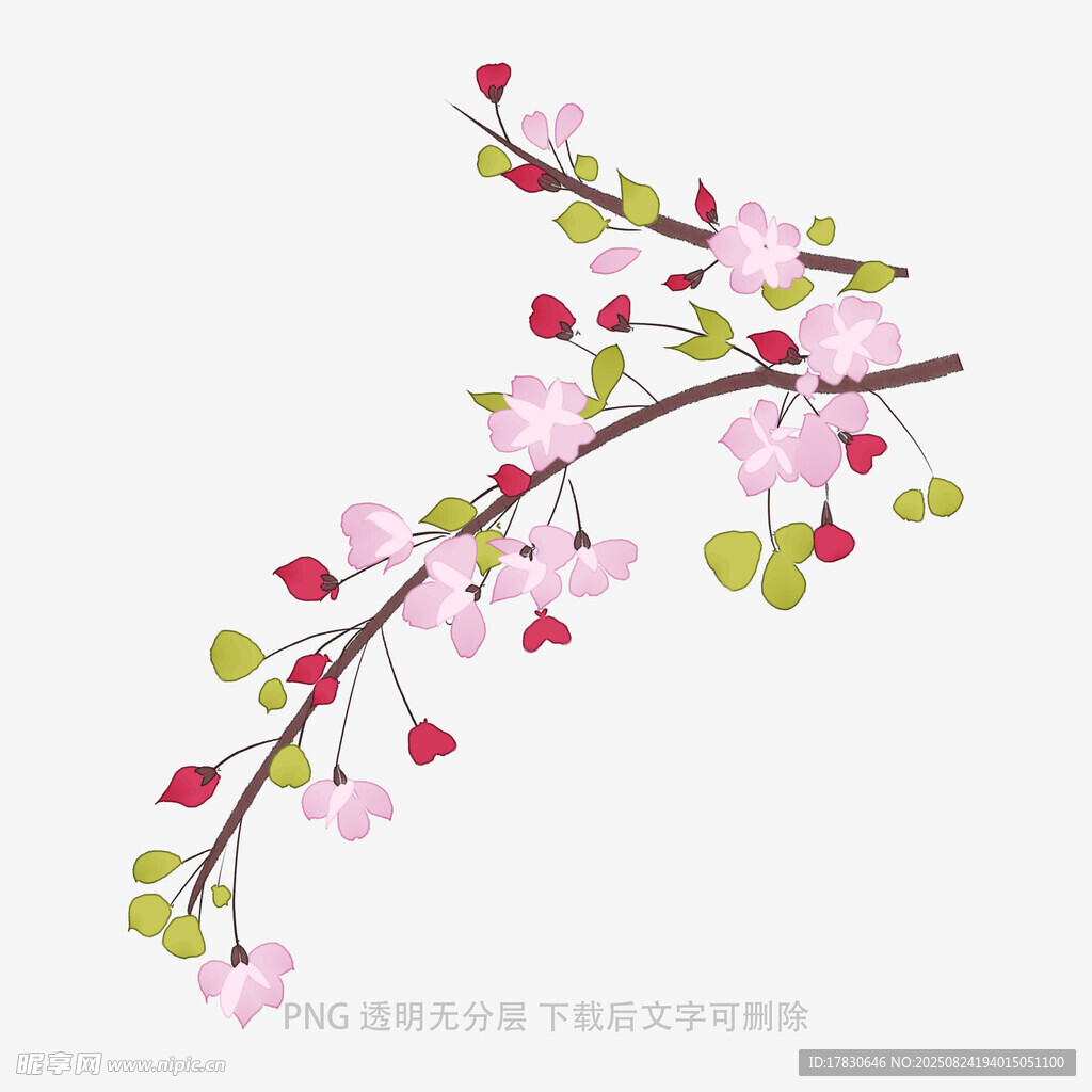 粉色花枝插画