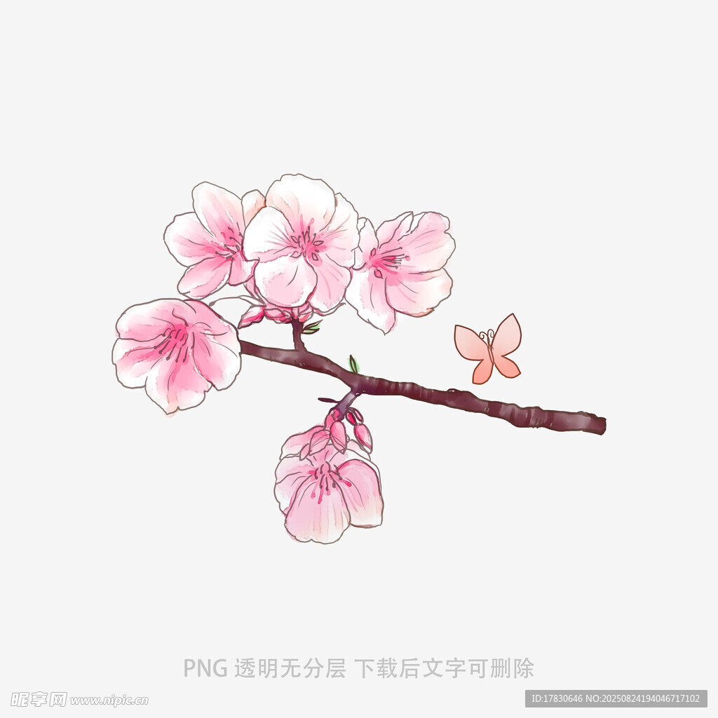 枝头粉樱伴蝶唯美插画