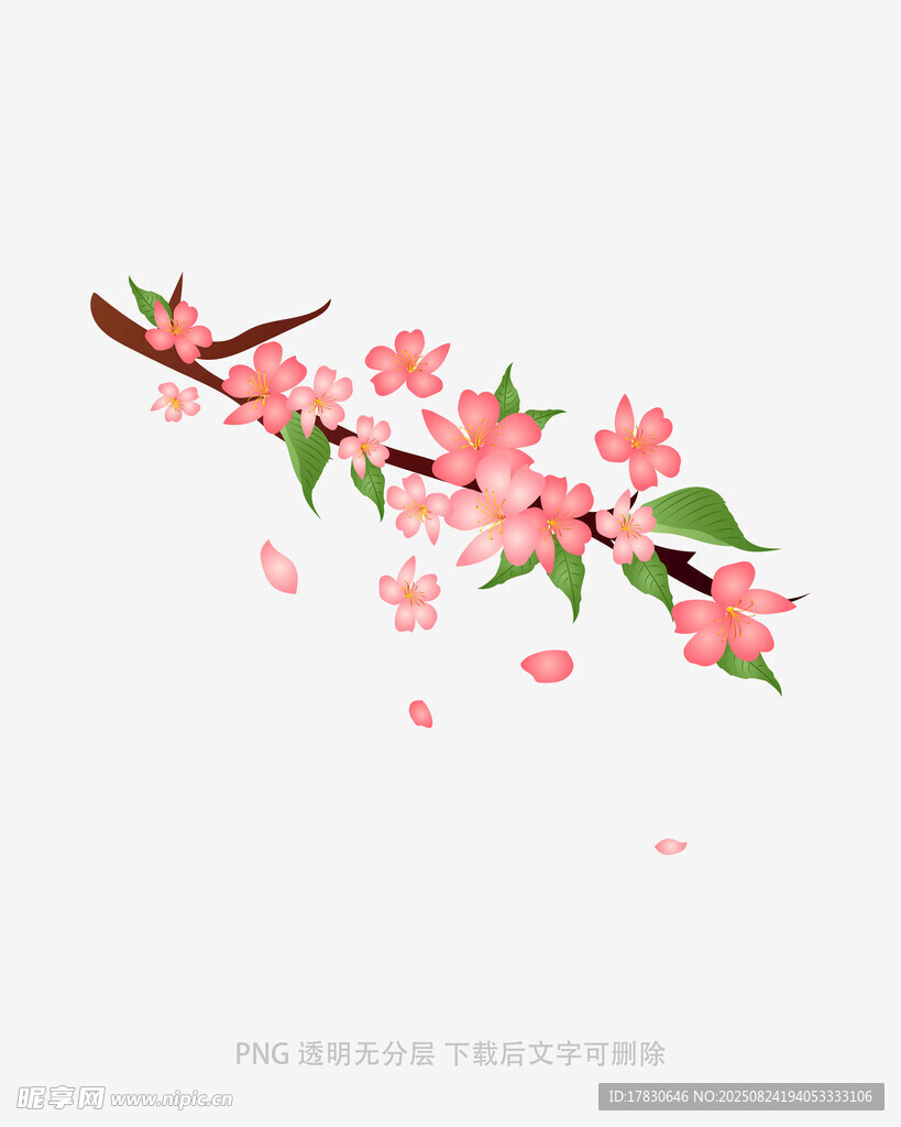 花朵