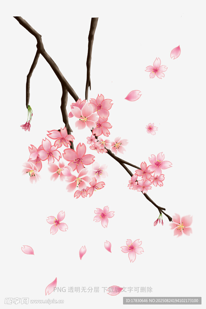 花朵