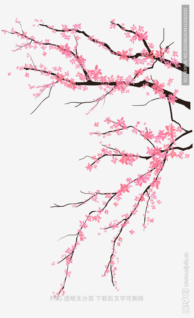 花朵