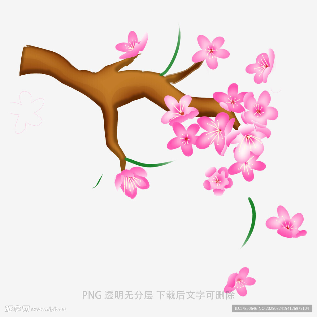 枝头绽放的粉色烂漫花朵