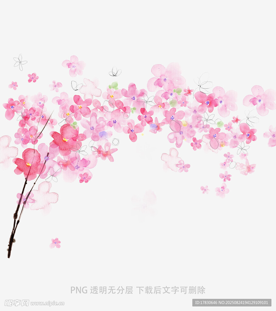 粉色烂漫樱花枝