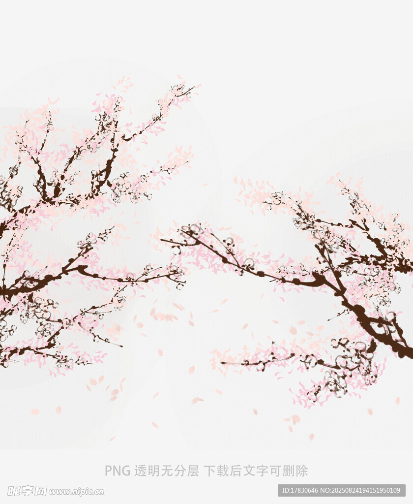 枝头绽放的粉嫩桃花