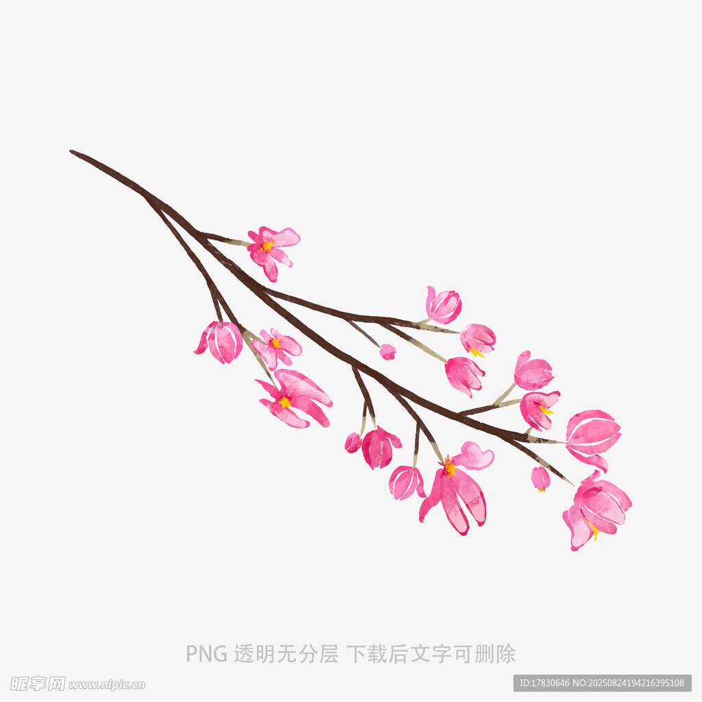 粉色花枝插画