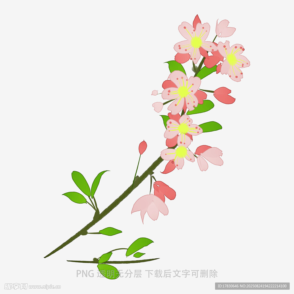 粉色花枝插画